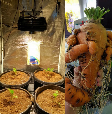 Spectrum King LED Grow Lights for Indoor Food & Vegetable Gardens in Small Spaces