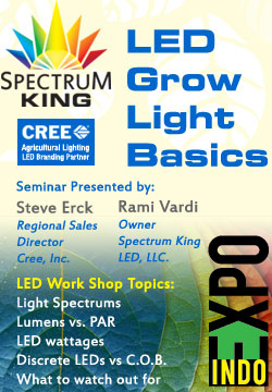 LED-Gow-Light-Basics-Seminar_indo-expo
